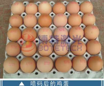 雞蛋可以用激光噴碼機(jī)嗎？